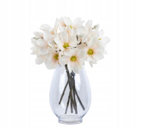 PAN KWIATEK Magnolia mini natural LOOK APRICOT delikatna ozdobna magnolia